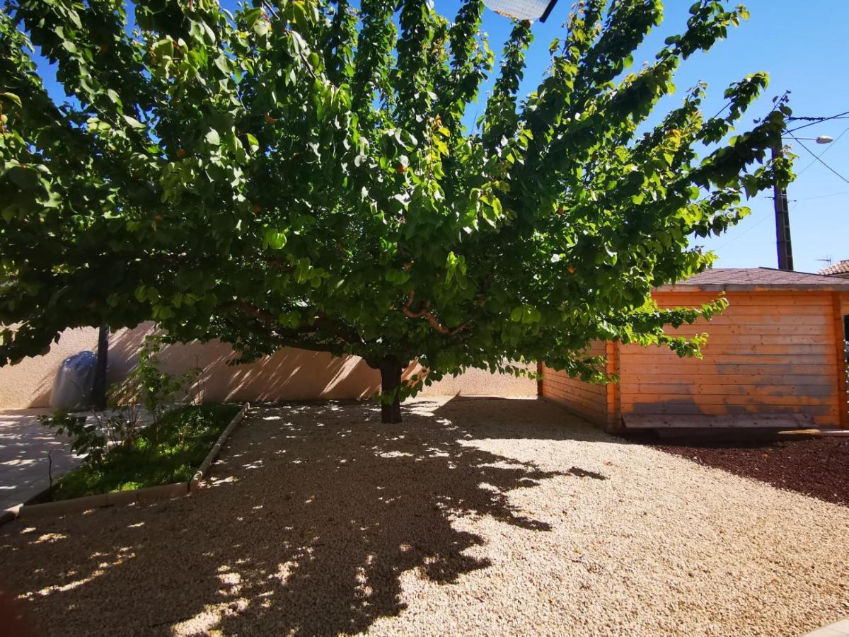 Gites Avec Grande Piscine Et Sa Terrasse Privative Bernis Eksteriør billede