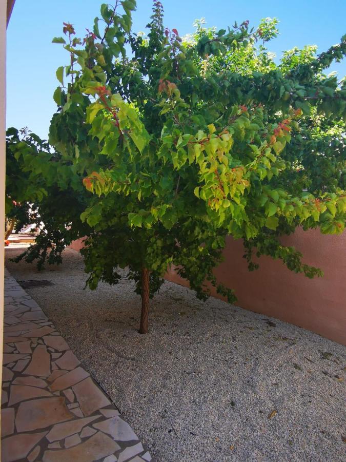 Gites Avec Grande Piscine Et Sa Terrasse Privative Bernis Eksteriør billede